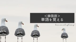 ＜韓国語＞単語を覚える